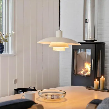 1352-vestervig-isfuglevej-19