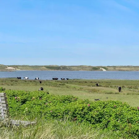 Feriehus 1352-vestervig-isfuglevej-19